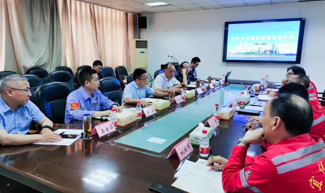 王大真一行到股份公司、化機(jī)公司現(xiàn)場(chǎng)辦公