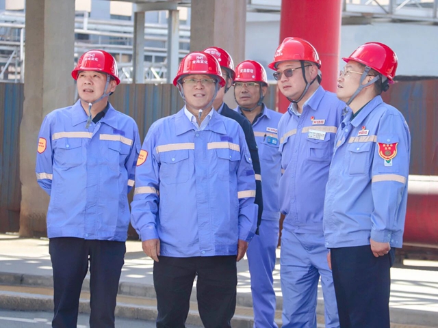 王大真到新疆、青海區(qū)域分子公司現(xiàn)場(chǎng)辦公(圖2)